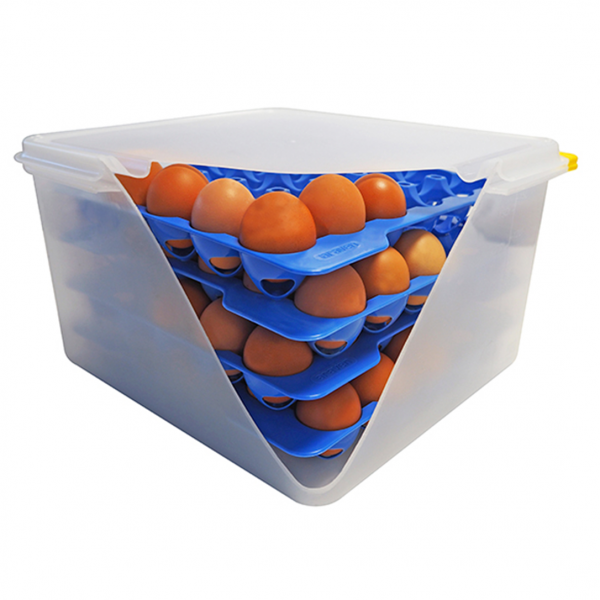 Контейнер для зберігання яєць Araven 70378 (354x325мм,h200мм)