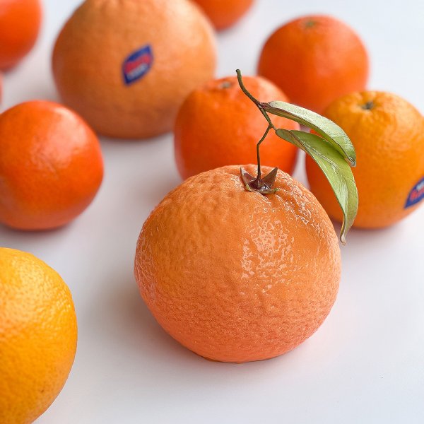 Силиконовая форма "Апельсин" ORANGE by Dinara Kasko (d10см,h9.5см,520мл)
