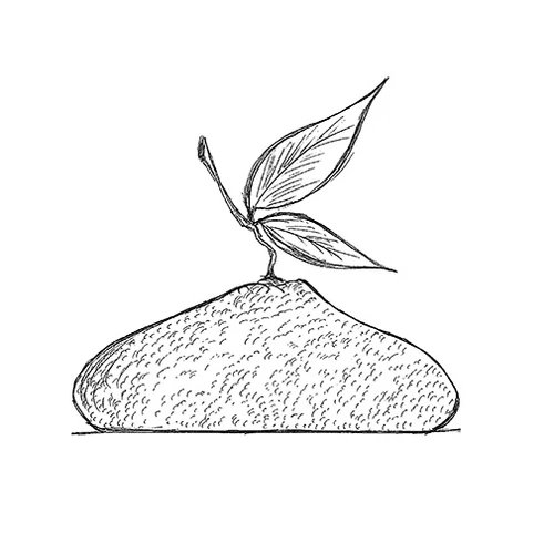 Силиконовая форма "лимон" Pavoni KE057 Citron (d180мм,h70мм,1215мл)