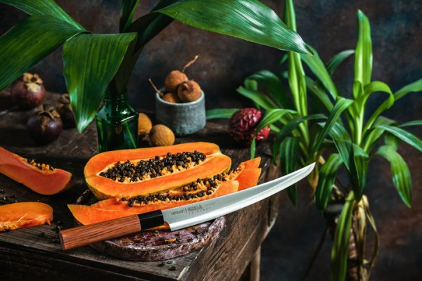 Ніж кухонний слайсер Samura Okinawa Tanto SO-0146T, 230мм